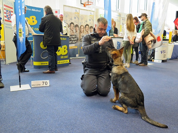 "Nachwuchs-Polizeidiensthund" NOX mit Hundeführer, Polizeioberkommissar Jörg Haffer, zu Besuch am BOB-Stand